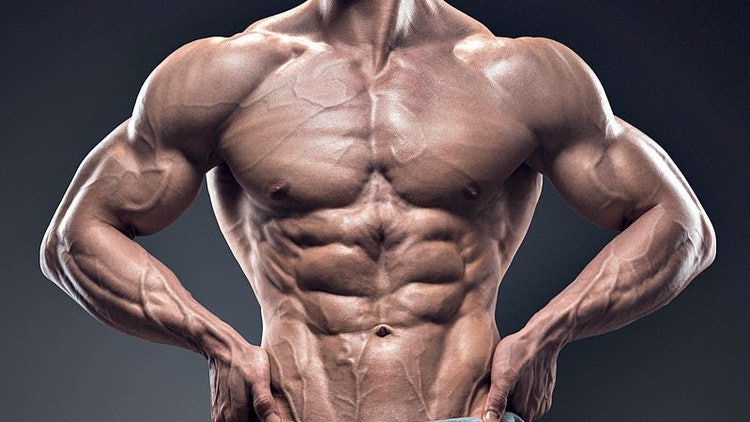 류신효능 근육단백질 프로탄탄로이신70000