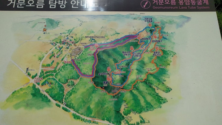 세계자연유산 거문오름 국제트레킹대회 세계자연유산 거문오름 국제트레킹대회