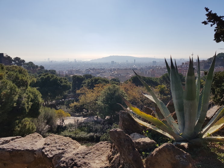  [유럽/스페인/바르셀로나] 바르셀로나 여행 - 구엘공원:park guell - 마늘로드스페인 11편