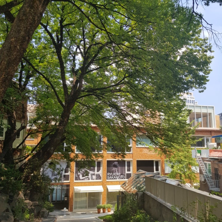  피크닉 첫 방문