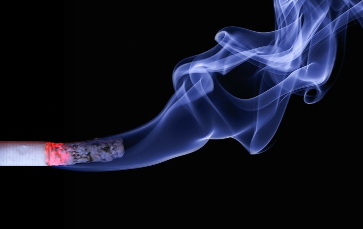 버스정류장 등 흡연금지구역 흡연자 신고방법과 과태료