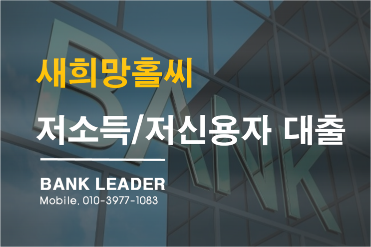  재직3개월 저소득/저신용자 새희망홀씨대출