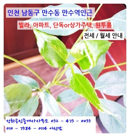  2018.8.2~인천 만수동 만수역 빌라, 아파트, 단독or상가주택, 원룸, 투룸 전/월세 물건 안내 성화공인중개사사무소