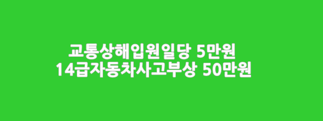  교통상해입원비일당 5만원, 14급자동차사고부상 50만원_안전동행운전자보험1804
