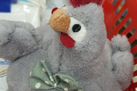 꼬꼬팜 이미지