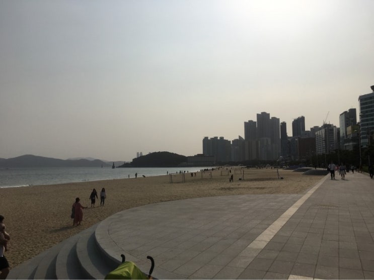 까사미아 라돈 검출