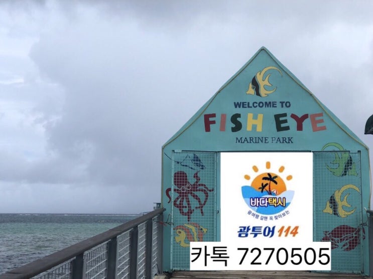 괌 피시아이 마린파크♥️해양 수중전망대 괌 씨워커 스노쿨링 포인트 괌 피시아이 마린파크♥️해양 수중전망대 괌 씨워커 스노쿨링 포인트