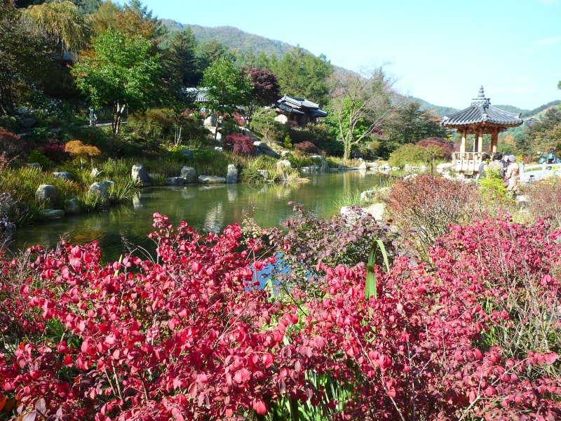가평 아침고요수목원 입장료 영업시간 경기도 가평 가볼만한곳