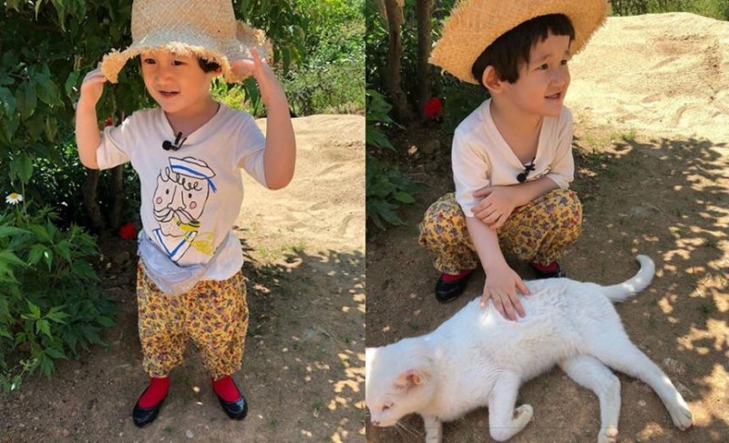 ‘슈퍼맨이 돌아왔다’ 봉태규, ‘꼬마 농부’로 완벽 변신한 시하 군 모습 공개