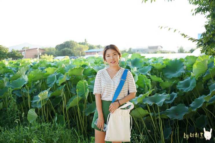 신혜선X칼린 콜라보 예쁜 에코백추천