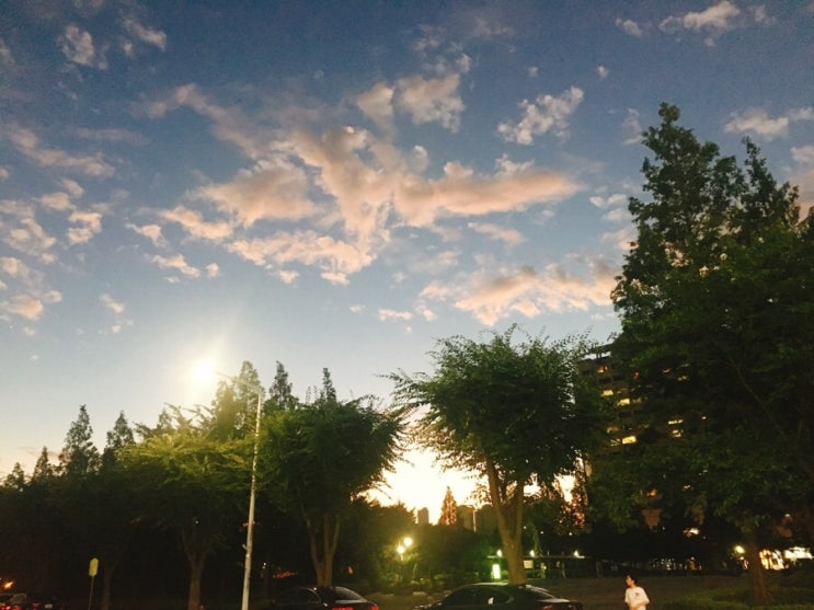  (7.26-7.31)