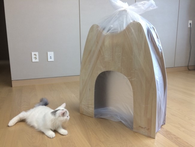  [고양이 스크래쳐]블루캣 스크래쳐 캣타워 키티