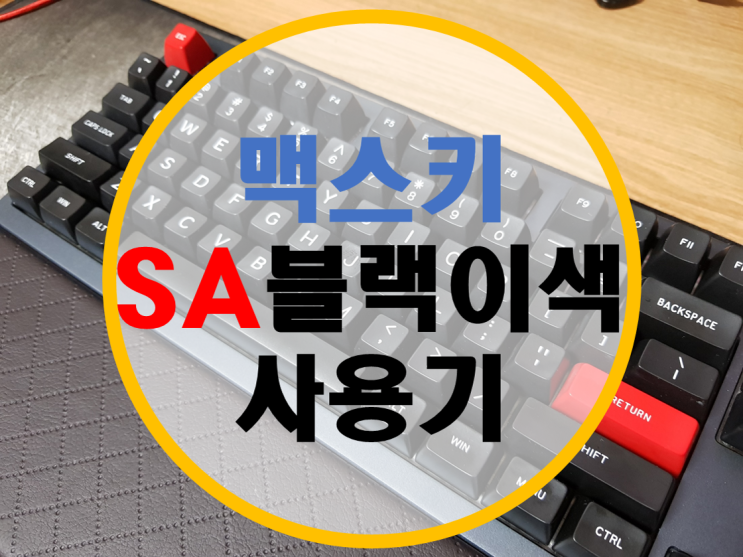 맥스키 SA 블랙이색 사용기 맥스키 SA 블랙이색 사용기