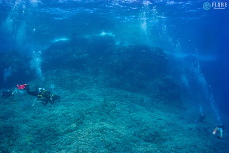 [오키나와 다이빙] 산호 가득한 케라마 제도에서 다이빙!