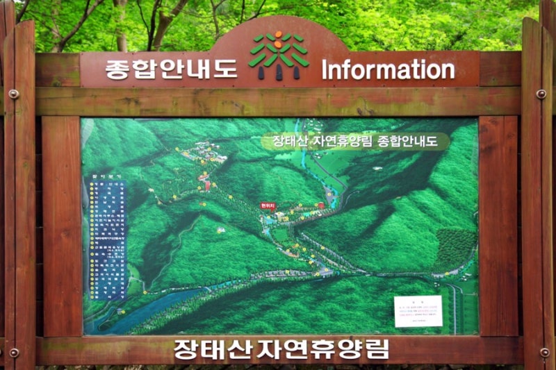 대전 가볼만한곳 BEST 10