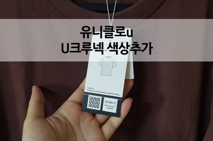  유니클로u  르메르 U크루넥 새로운 색상 추가