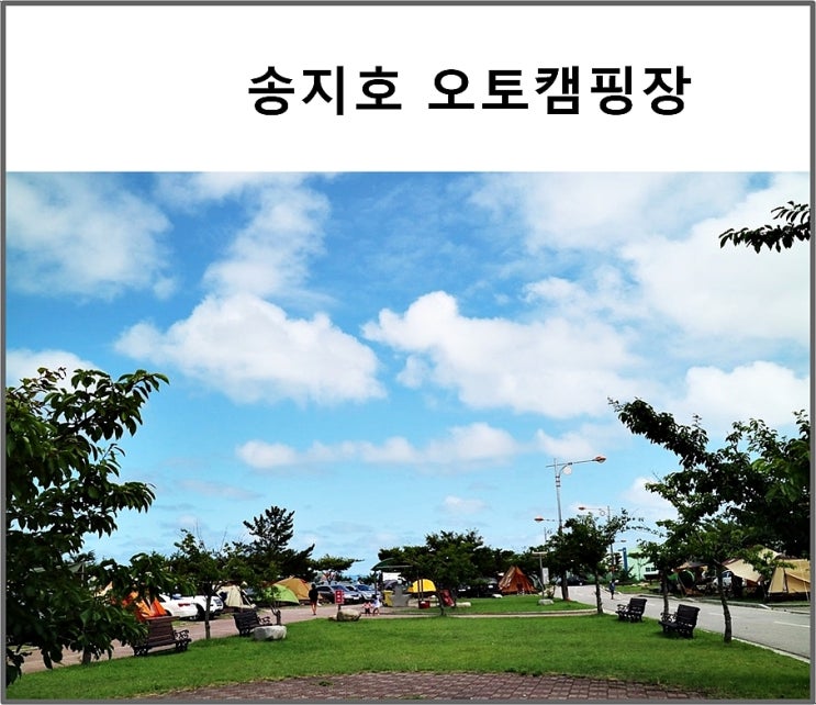  강원도 고성 캠핑장  깨끗한 바다캠핑장 송지호 오토캠핑장