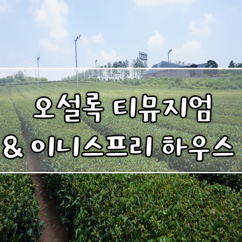  제주 오설록 티 뮤지엄 & 이니스프리 제주 하우스에서 쇼핑과 브런치를 즐겨요!