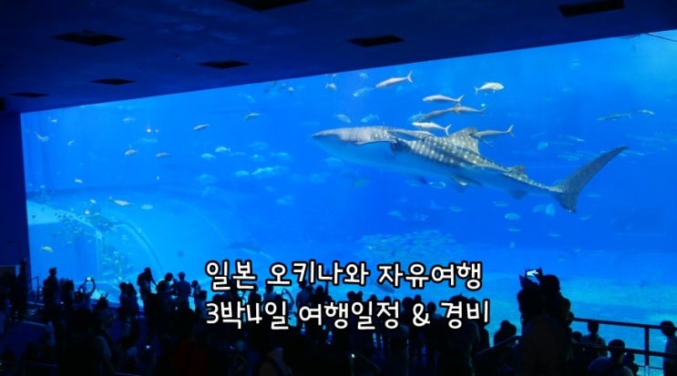  일본 오키나와 자유여행 3박4일 여행일정 & 경비 / 태풍과 함께한 오키나와