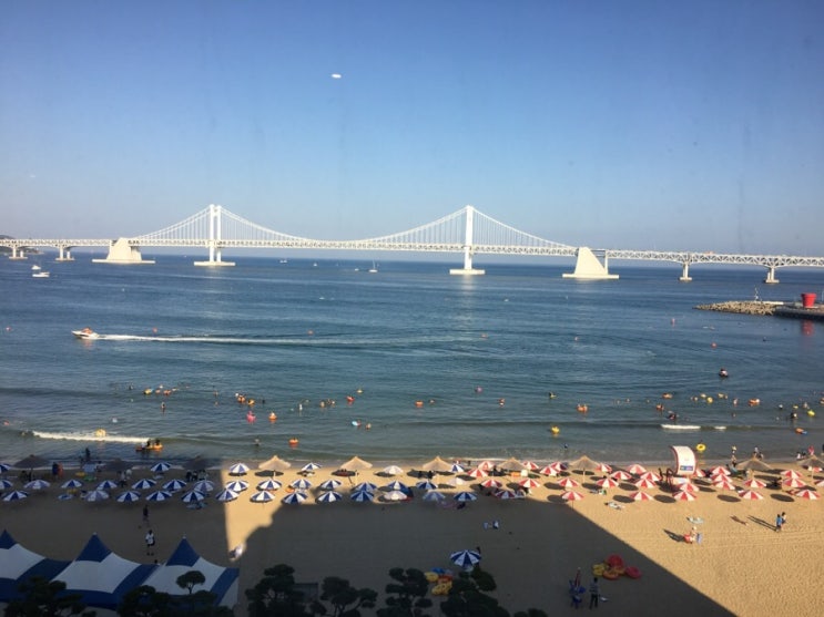 부산여행 더워도 좋아!