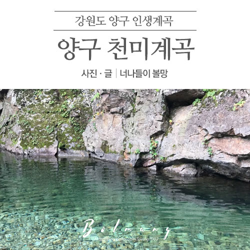  강원도 양구 계곡 / 천미계곡 당일치기 국내 계곡 추천 캠핑 평상 가는길