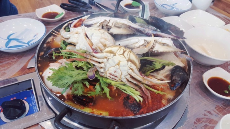  안목해변 맛집 열해 해물탕 내돈주고 사먹은 후기