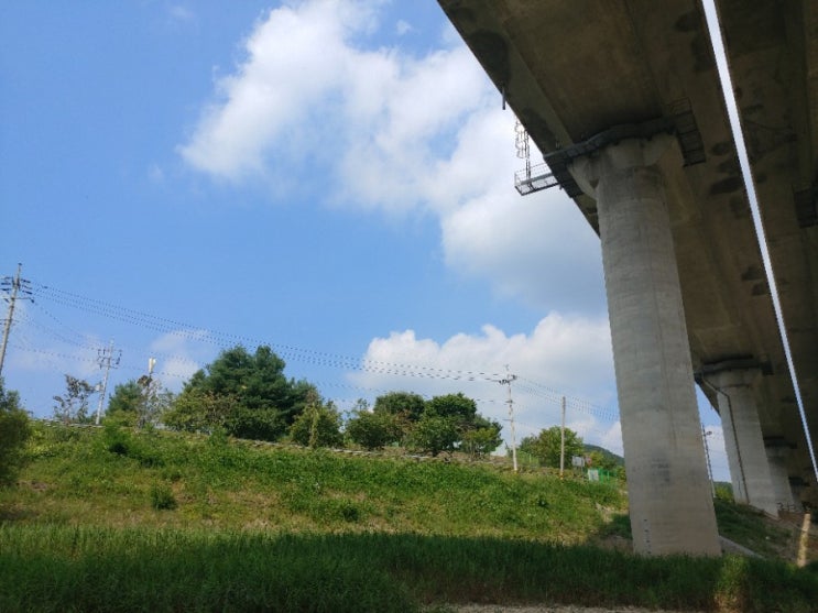  홍천강 천렵