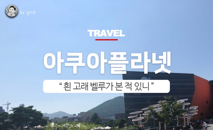  여수 가볼만한곳! 흰고래보러 아쿠아플라넷으로