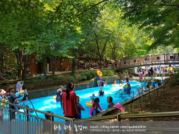  상소동 산림욕장에서 즐기는 대전 근교 수영장 완전 꿀잼미네요!