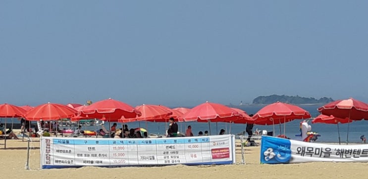  당진 왜목마을 요트 체험