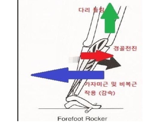 보행시 3가지 rocker (발구름) 알아보기 : 네이버 블로그