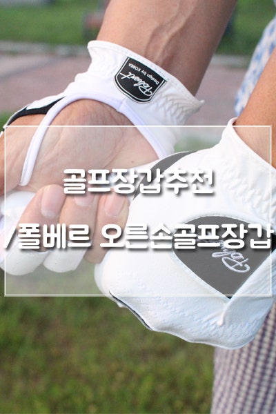 여름골프장갑추천, '폴베르 기능성 오른손골프장갑'