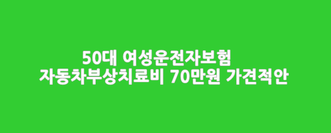  50대여성 가견적안_자동차사고부상 14급 70만원 KB드림운전자상해보험1806