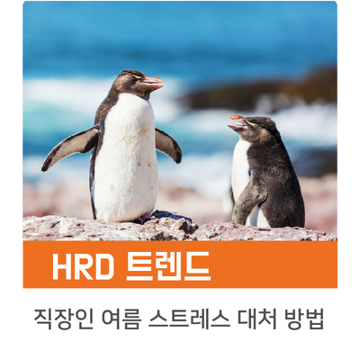  [인키움 HRD 트렌드] “더울수록 지킬 건 지킵시다!” 직장인 여름 스트레스 해소하기