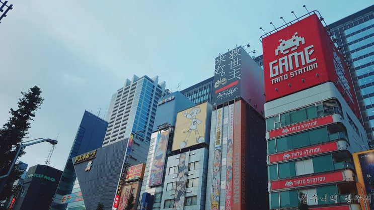  [일본워홀] 37日 코코이치방카레 / 아키하바라 / 빅카메라_토미카 / 이자카야_야마토(矢まと, Yamato)