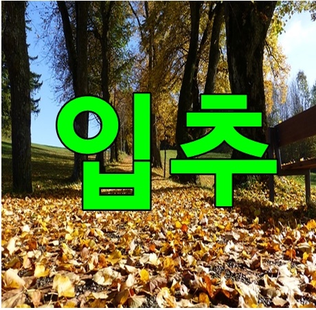 입추시작인데. 폭염은 여전하네요