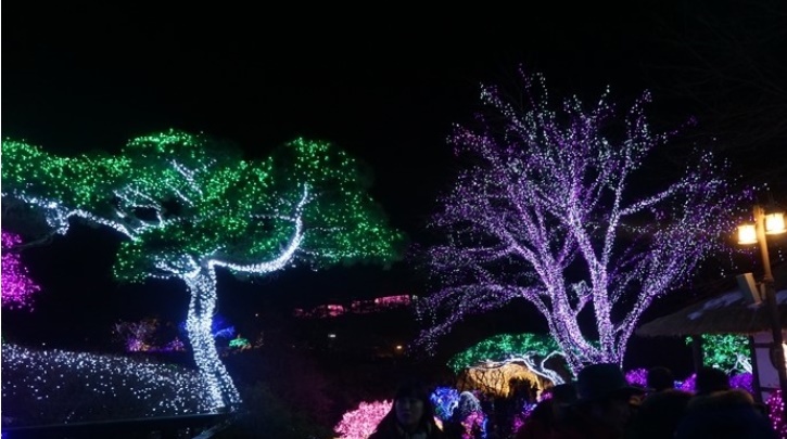 미술공부가 하고 싶어요?