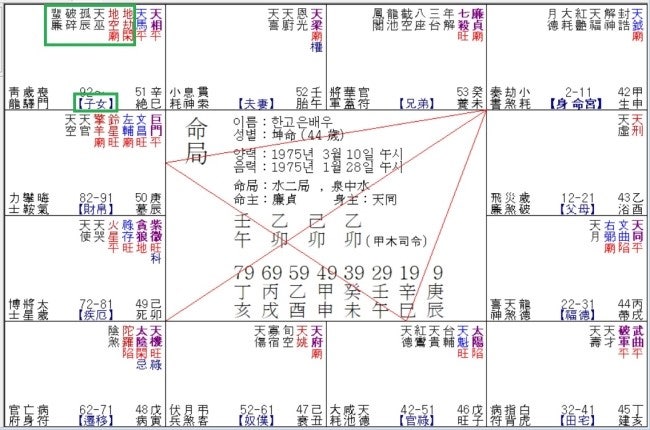 한고은 사주(배우)