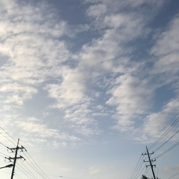  프렌즈샵, 강릉 고물상 미소자원산업(구.포남고물상) + 주절주절 날씨가 이상해요ㅠ ㅠ
