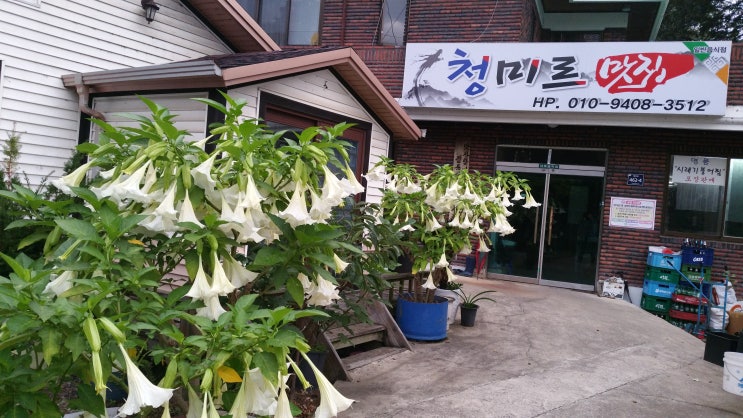  초평붕어찜/ 뼈째먹는 붕어찜