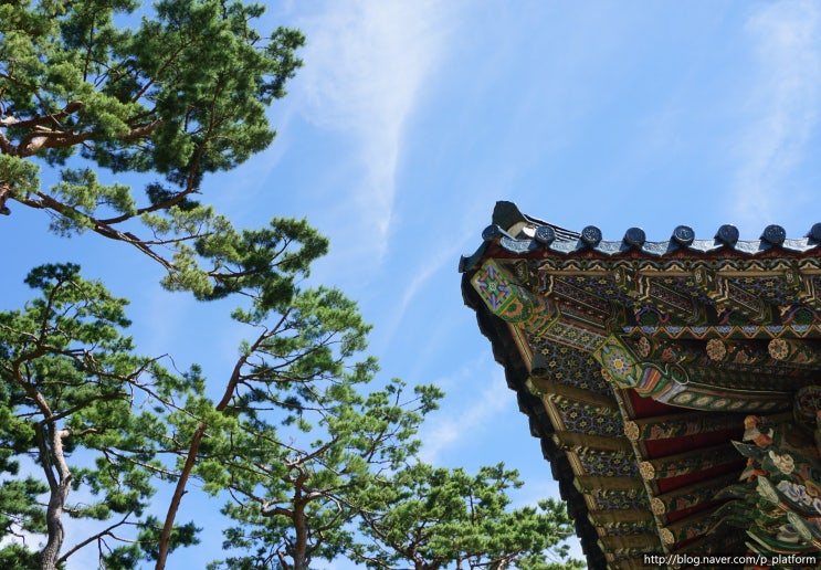  [Korea Cultrue.1] #Buddhism_#Seoultour(서울여행_외국인친구에게 한국문화 알려주기)