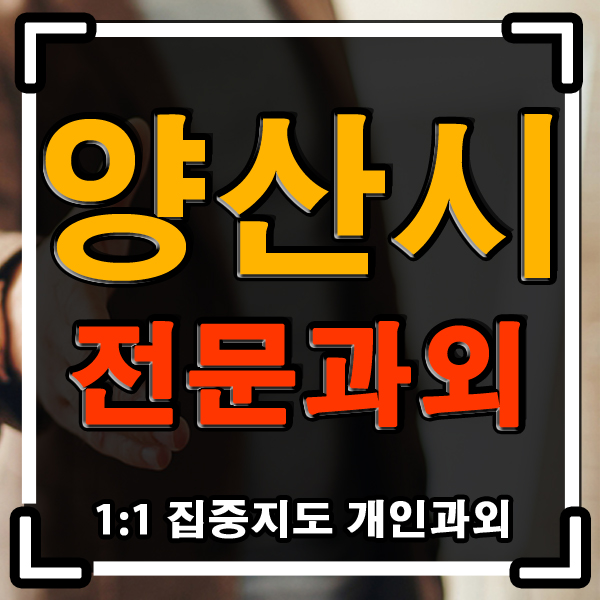  양산 과외 초등 중등 [국어 영어 수학] 전문과외 전과목 지도합니다~!!