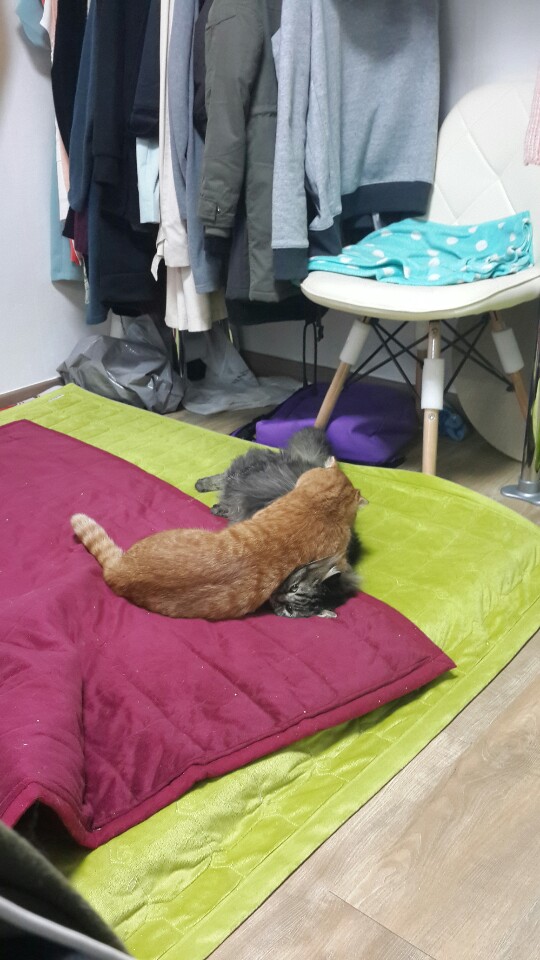  옛날 것과 요즈음 것들 몇개!