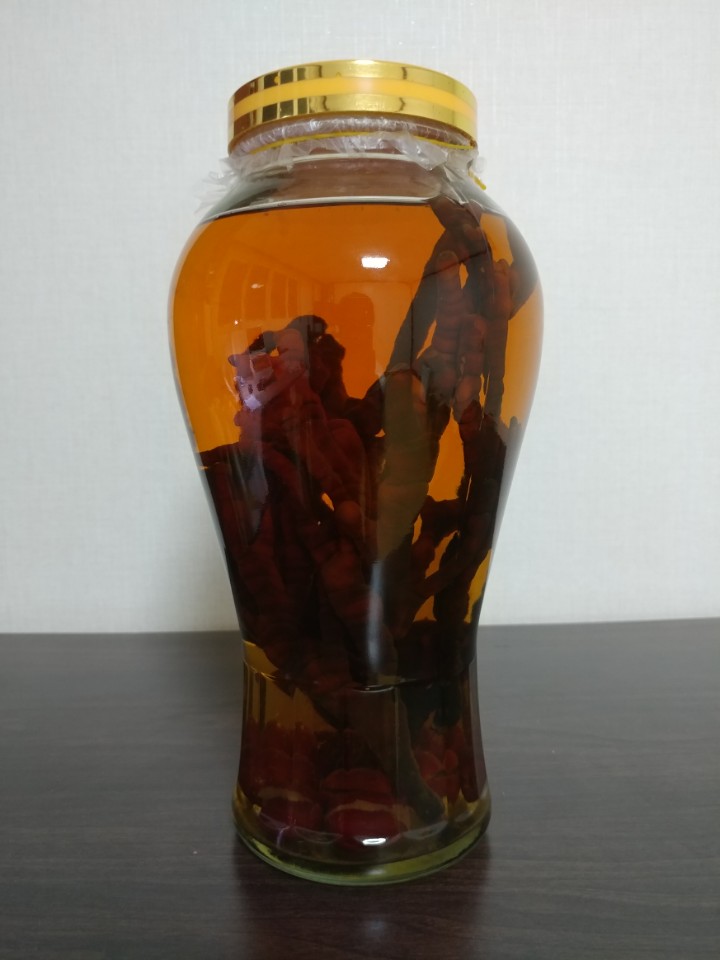  녹각 영지버섯 담금주 숙성 중(리뷰, 후기)