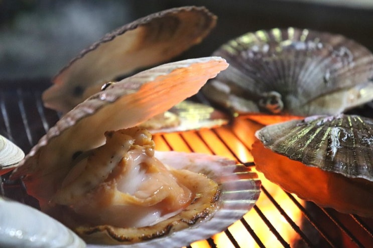  태안 횟집 인심 대박 좋은 수산시장 태안수산에서 좋은 먹거리 구매했어요 맛집 인정