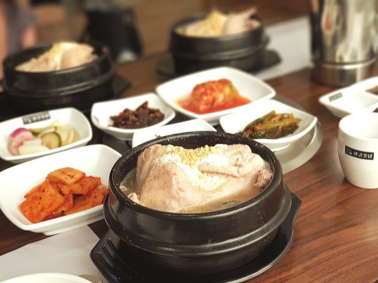  세종시삼계탕 황금옻닭 금남면맛집 !!!