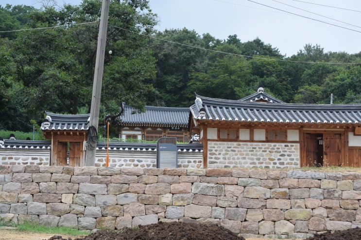  김주신과 김홍집묘