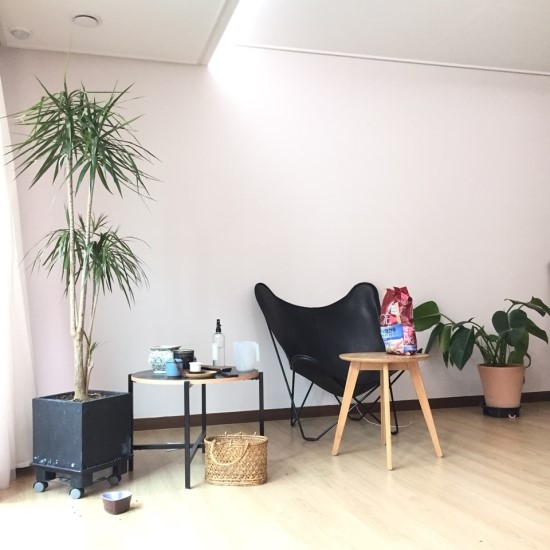  수다. 8월 