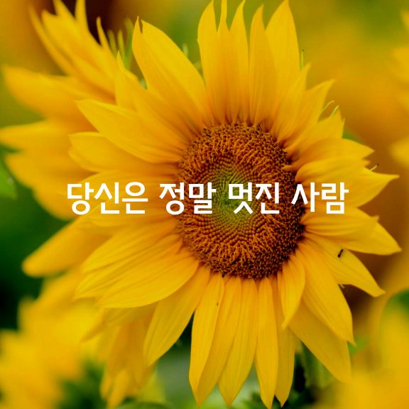  당신은 정말 멋진 사람입니다