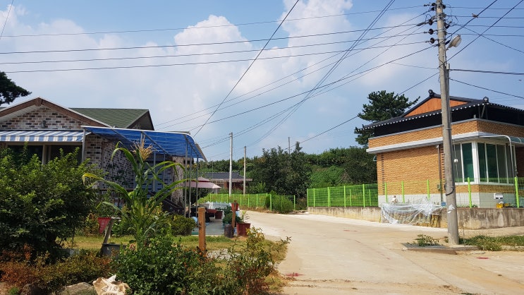  상주시 스마트팜 혁신밸리 조성 선정되다.